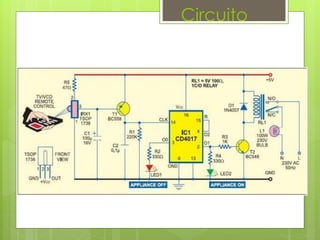 Circuito
 
