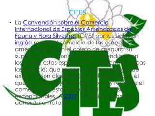 Algunos casos de BioinvasionesOrganismos:  Ratas negra y parda. Origen: Este y sudeste de Asia Zonas afectadas: Tierras emergidas, salvo desiertos, zonas polares y algunas zonas polares. Efectos importantes:  En el siglo XVI, el  30 %  de la población deEuropa occidental murió a causa de la peste transmitida por las ratas; como predadores, las ratas han ocasionado la extinción de especies insulares de aves; asimismo, constituyen plagas agrícolas y son portadoras de graves enfermedades infecciosas. Organismo: Viruela: Origen: Cuenca del mediterráneo Zonas afectadas: Casi todas las zonas habitadas Efectos importantes: Dos tercios de la población indígena de América del sursucumbieron víctimas de la viruela en el siglo XVI. En Europa, a mediados de estesiglo, la viruela ocasionó la muerte de dos millones de personas. Actualmente está erradicada. 