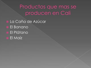  La Caña de Azúcar
 El Banano
 El Plátano
 El Maíz
 