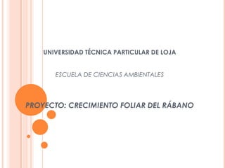 UNIVERSIDAD TÉCNICA PARTICULAR DE LOJA ESCUELA DE CIENCIAS AMBIENTALES    PROYECTO: CRECIMIENTO FOLIAR DEL RÁBANO      