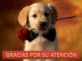 Proyecto de matematica