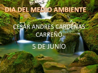 CESAR ANDRES CARDENAS
CARREÑO
5 DE JUNIO
 