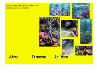 Proyecto de micro mundos pro