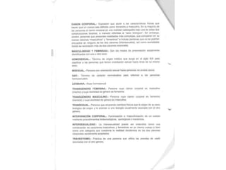 Informe Machado: Controversial Proyecto de Ordenanza LGBTI en Cuenca