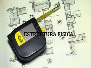 ESTRUCTURA FISICA
 