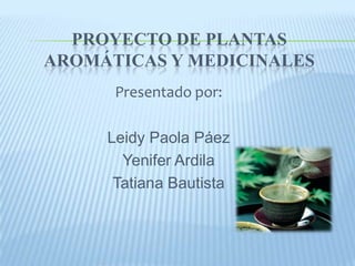 PROYECTO DE PLANTAS
AROMÁTICAS Y MEDICINALES
      Presentado por:

     Leidy Paola Páez
       Yenifer Ardila
      Tatiana Bautista
 