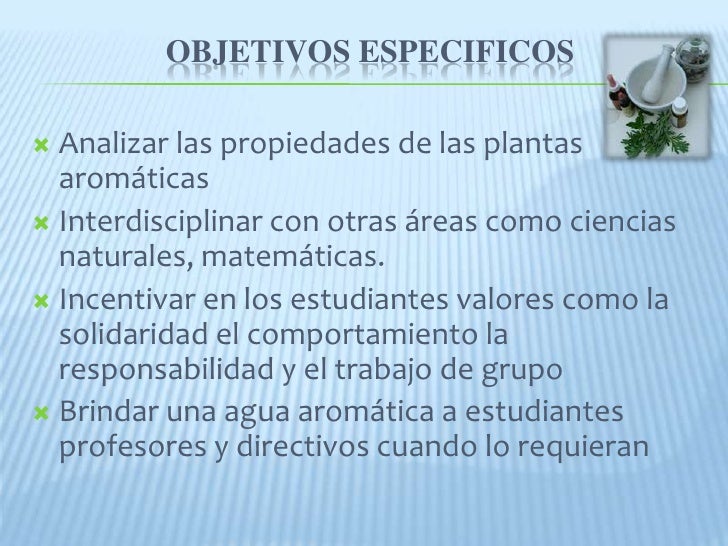 Proyecto de plantas medicinales