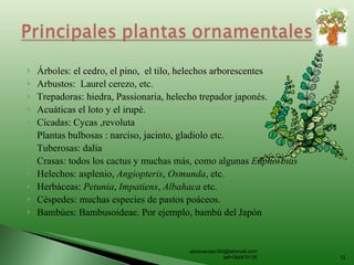 Árboles: el cedro, el pino,  el tilo, helechos arborescentes  Arbustos:  Laurel cerezo, etc. Trepadoras: hiedra, Passionaria, helecho trepador japonés. Acuáticas el loto y el irupé.  Cícadas: Cycas ,revoluta Plantas bulbosas : narciso, jacinto, gladiolo etc. Tuberosas: dalia Crasas: todos los cactus y muchas más, como algunas  Euphorbias Helechos: asplenio,  Angiopteris ,  Osmunda , etc. Herbáceas:  Petunia ,  Impatiens ,  Albahaca  etc. Céspedes: muchas especies de pastos poáceos. Bambúes: Bambusoideae. Por ejemplo, bambú del Japón ojitosverdes160@latinmail.com telf=084870135 