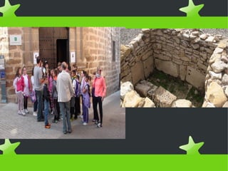 Proyecto de profesion historiadores