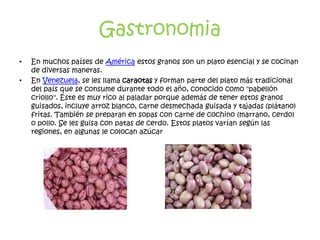 Gastronomia
•   En muchos países de América estos granos son un plato esencial y se cocinan
    de diversas maneras.
•   En Venezuela, se les llama caraotas y forman parte del plato más tradicional
    del país que se consume durante todo el año, conocido como "pabellón
    criollo". Éste es muy rico al paladar porque además de tener estos granos
    guisados, incluye arroz blanco, carne desmechada guisada y tajadas (plátano)
    fritas. También se preparan en sopas con carne de cochino (marrano, cerdo)
    o pollo. Se les guisa con patas de cerdo. Estos platos varían según las
    regiones, en algunas le colocan azúcar
 
