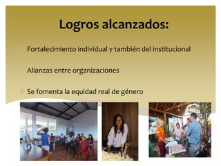 Logros alcanzados:
 Fortalecimiento individual y también del institucional
 Alianzas entre organizaciones
 Se fomenta la equidad real de género
 
