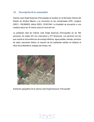 VI.

Descripción de la comunidad

Colonia José Ángel Espinoza (Ferrusquilla) se localiza en el Municipio Ahome del
Estado de Sinaloa México y se encuentra en las coordenadas GPS: Longitud
(DEC): -108.990833, latitud (DEC): 25.831944. La localidad se encuentra a una
mediana altura de 10 metros sobre el nivel del mar.
La población total de Colonia José Ángel Espinoza (Ferrusquilla) es de 768
personas, de cuales 391 son masculinos y 377 femeninas. Los servicios con los
que cuenta la comunidad son de energía eléctrica, agua potable, drenaje, servicios
de salud, educación básica, la mayoría de los habitantes adultos se dedican al
oficio de la albañilería, trabajos del campo, etc.

Ilustración geográfica de la colonia José Ángel Espinoza “Ferrusquilla”

12

 