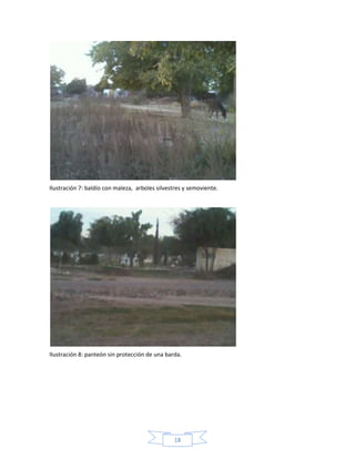 Ilustración 7: baldío con maleza, arboles silvestres y semoviente.

Ilustración 8: panteón sin protección de una barda.

18

 