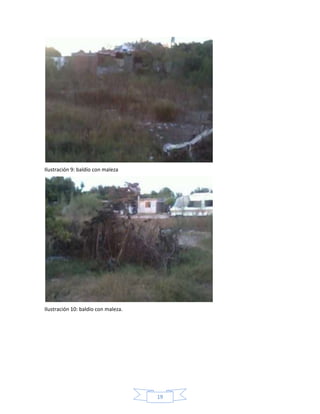 Ilustración 9: baldío con maleza

Ilustración 10: baldío con maleza.

19

 