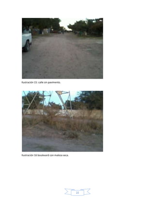 Ilustración 15: calle sin pavimento.

Ilustración 16 boulevard con maleza seca.

22

 