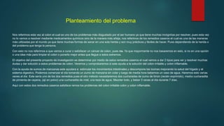 Planteamiento del problema
Nos referimos esta vez al colon el cual es uno de los problemas más disgustado por el ser humano ya que tiene muchas incógnitas por resolver, pues esta vez
no lo vamos a resolver mediante medicamentos químicos sino de la manera más añeja, nos referimos de los remedios caseros el cual es una de las maneras
más utilizadas por el mundo ya que tiene muchas formas de sanar en una sola herida y son muy prácticos y fáciles de hacer. Pues dependiendo de la herida o
del problema que tenga la persona.
Con esto no nos referimos a que vamos a curar o satisfacer un cáncer de colon, pues no. Ya que mayormente no nos basaremos en esto, si no en una opción
o una idea más para limpiar el colon o ponerlo mejor antes que llegue a estos extremos.
El objetivo del presente proyecto de investigación es determinar por medio de estos remedios caseros el cual vamos a dar 2 tipos para ver y resolver muchas
dudas y dar solución a estos problemas de colon. Veremos y comprobaremos si este ayuda a la solución del colon irritable y colon inflamable.
Con la ayuda de sumos de manzanas este ayudara a estimular los movimientos intestinales y descompone las toxinas mejorando la salud del hígado y el
sistema digestivo. Podemos comenzar el día tomando un zumo de manzana sin colar y luego de media hora bebemos un vaso de agua. Haremos esto varias
veces al día. Este sería uno de los dos remedios pues el otro método necesitaremos dos cucharadas de zumo de limón (recién exprimido), media cucharadita
de pimienta de cayena, (ají en polvo) una cucharadita de miel, una taza de agua. Mezclar todo, y beber 3 veces al día durante 7 días.
Aquí con estos dos remedios caseros satisface remos los problemas del colon irritable colon y colon inflamable.
 