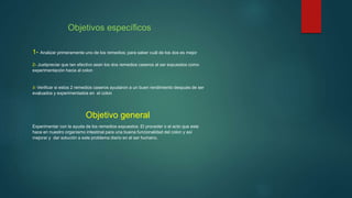 Objetivos específicos
1- Analizar primeramente uno de los remedios; para saber cuál de los dos es mejor
2- Justipreciar que tan efectivo sean los dos remedios caseros al ser expuestos como
experimentación hacia al colon
3- Verificar si estos 2 remedios caseros ayudaron a un buen rendimiento después de ser
evaluados y experimentados en el colon
Objetivo general
Experimentar con la ayuda de los remedios expuestos. El proceder o el acto que este
hace en nuestro organismo intestinal para una buena funcionalidad del colon y así
mejorar y dar solución a este problema diario en el ser humano.
 
