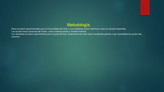 Metodología
Estos procesos experimentales para la funcionalidad del colon y sus problemas fueron hechos en casa con ayudas especiales.
Las ayudas fueron personas del común, como nuestros padres y nosotros mismos.
Los resultados de estos experimentos para la ayuda del buen rendimiento del colon fueron excelentes gracias a que necesitábamos ayuda más
suprema.
 