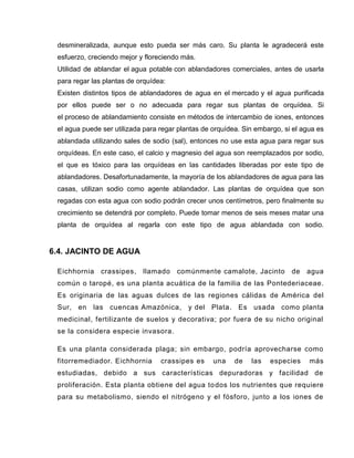 desmineralizada, aunque esto pueda ser más caro. Su planta le agradecerá este
esfuerzo, creciendo mejor y floreciendo más.
Utilidad de ablandar el agua potable con ablandadores comerciales, antes de usarla
para regar las plantas de orquídea:
Existen distintos tipos de ablandadores de agua en el mercado y el agua purificada
por ellos puede ser o no adecuada para regar sus plantas de orquídea. Si
el proceso de ablandamiento consiste en métodos de intercambio de iones, entonces
el agua puede ser utilizada para regar plantas de orquídea. Sin embargo, si el agua es
ablandada utilizando sales de sodio (sal), entonces no use esta agua para regar sus
orquídeas. En este caso, el calcio y magnesio del agua son reemplazados por sodio,
el que es tóxico para las orquídeas en las cantidades liberadas por este tipo de
ablandadores. Desafortunadamente, la mayoría de los ablandadores de agua para las
casas, utilizan sodio como agente ablandador. Las plantas de orquídea que son
regadas con esta agua con sodio podrán crecer unos centímetros, pero finalmente su
crecimiento se detendrá por completo. Puede tomar menos de seis meses matar una
planta de orquídea al regarla con este tipo de agua ablandada con sodio.
6.4. JACINTO DE AGUA
Eichhornia crassipes, llamado comúnmente camalote, Jacinto de agua
común o taropé, es una planta acuática de la familia de las Pontederiaceae.
Es originaria de las aguas dulces de las regiones cálidas de América del
Sur, en las cuencas Amazónica, y del Plata. Es usada como planta
medicinal, fertilizante de suelos y decorativa; por fuera de su nicho original
se la considera especie invasora.
Es una planta considerada plaga; sin embargo, podría aprovecharse como
fitorremediador. Eichhornia crassipes es una de las especies más
estudiadas, debido a sus características depuradoras y facilidad de
proliferación. Esta planta obtiene del agua todos los nutrientes que requiere
para su metabolismo, siendo el nitrógeno y el fósforo, junto a los iones de
 