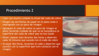 Procedimiento 2
• Lijen con mucho cuidado la mitad del codo de cobre
• Pongan las servilletas de papel en el plato ondo e
impregnalo con un poco de vinagre
• Agreguen el codo de cobre un poco de vinagre al
plato teniendo cuidado de que no se humedezca la
superficie del codo de cobre que no fue lijado
• Dejen reposar esto durante dos horas y observen
cada 30 minutos que sucede con el codo de cobre
• Al pasar dos horas, levanten el codo y observen que
sucedio con la superficie que tuvo contacto con el
vinagre.
 
