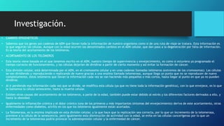 Investigación.
• CAMBIOS EPIGENETICOS
• Sabemos que los genes son cadenas de ADN que llevan toda la información de nuestro organismo como si de una ruta de viaje se tratara. Esta información es
la que seguirán las células. Aunque con la edad ocurren los denominados cambios en el ADN celular, que dan paso a la degeneración por falta de información.
Es la teoría del acortamiento de los telómeros.
• ACORTAMIENTO DE LOS TELÓMEROS
• Esta teoría viene basada en el que tenemos escrito en el ADN, nuestro tiempo de supervivencia y envejecimiento, es como si estuviera ya programado el
tiempo correcto de funcionamiento, y las células dejarían de dividirse a partir de cierto momento y así evitar la formación de cáncer.
• Esta división celular, está determinada por el ADN, en el cromosoma celular y en unas cadenas llamadas telómeros (extremos de los cromosomas). Las células
se van dividiendo y reproduciendo o replicando de nuevo gracias a una enzima llamada telomerasa, aunque llega un punto que no se reproducen de nuevo
completamente, éstos telómeros que llevan la información cada vez se van haciendo más pequeños o más cortos, hasta llegar al punto en que ya no pueden
dividirse.
• Al ir perdiendo esa información cada vez que se divide, se modifica esta célula (ya que no tiene toda la información genética), con lo que envejece, es lo que
le llamamos la célula senescente, hasta la muerte celular.
• Existen otras causas del acortamiento de los telómeros, a parte de la edad, también puede estar debido al estrés y los diferentes factores derivados a ello, y
hasta la obesidad.
• Igualmente la inflamación crónica y el dolor crónico (una de los primeros y más importantes síntomas del envejecimiento) deriva de este acortamiento, otras
enfermedades como diabetes, artritis en los que los telómeros igualmente están acortados.
• La Telomerasa, es la enzima implicada en esta división celular, y la que hace que la replicación sea correcta, por lo que un incremento de la telomerasa,
previene a la célula de la senescencia, pero igualmente esta disminución de actividad con la edad, se evita en las células cancerígenas por lo que un
incremento de la telomerasa podría provocar la sobreexpresión celular y la enfermedad de cáncer.
 