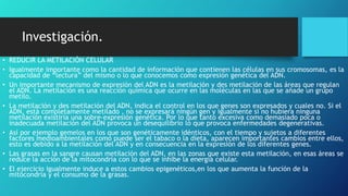Investigación.
• REDUCIR LA METILACIÓN CELULAR
• Igualmente importante como la cantidad de información que contienen las células en sus cromosomas, es la
capacidad de “lectura” del mismo o lo que conocemos como expresión genética del ADN.
• Un importante mecanismo de expresión del ADN es la metilación y des metilación de las áreas que regulan
el ADN. La metilación es una reacción química que ocurre en las moléculas en las que se añade un grupo
metilo.
• La metilación y des metilación del ADN, indica el control en los que genes son expresados y cuales no. Si el
ADN, está completamente metilado , no se expresará ningún gen y igualmente si no hubiera ninguna
metilación existiría una sobre-expresión genética. Por lo que tanto excesiva como demasiado poca o
inadecuada metilación del ADN provoca un desequilibrio lo que provoca enfermedades degenerativas.
• Así por ejemplo gemelos en los que son genéticamente idénticos, con el tiempo y sujetos a diferentes
factores medioambientales como puede ser el tabaco o la dieta, aparecen importantes cambios entre ellos,
esto es debido a la metilación del ADN y en consecuencia en la expresión de los diferentes genes.
• Las grasas en la sangre causan metilación del ADN, en las zonas que existe esta metilación, en esas áreas se
reduce la acción de la mitocondria con lo que se inhibe la energía celular.
• El ejercicio igualmente induce a estos cambios epigenéticos,en los que aumenta la función de la
mitocondria y el consumo de la grasas.
 