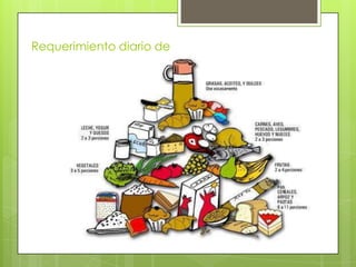 Requerimiento diario de
alimentos
 