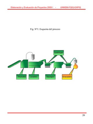 2020
Fig. Nº1: Esquema del proceso
Elaboración y Evaluación de Proyectos 2009 I - UNMSM-FQIQ-EAPIQ
 