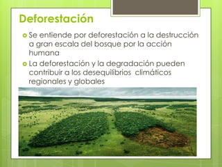 Deforestación
 Se entiende por deforestación a la destrucción
a gran escala del bosque por la acción
humana
 La deforestación y la degradación pueden
contribuir a los desequilibrios climáticos
regionales y globales
 