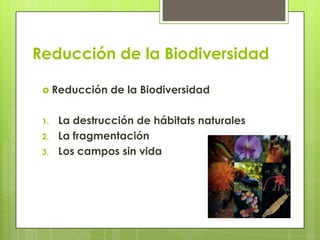 Reducción de la Biodiversidad
 Reducción de la Biodiversidad
1. La destrucción de hábitats naturales
2. La fragmentación
3. Los campos sin vida
 