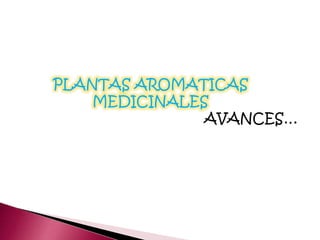 PLANTAS AROMATICAS
MEDICINALES
AVANCES…
 