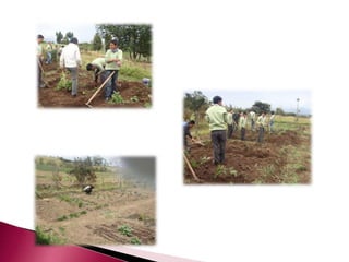 Proyecto de reciclaje