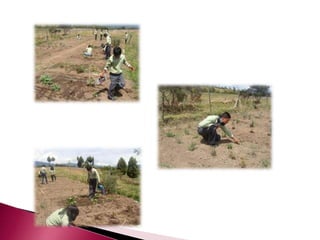 Proyecto de reciclaje