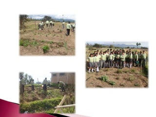 Proyecto de reciclaje