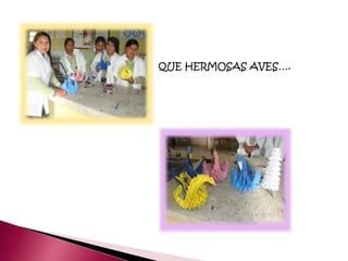 QUE HERMOSAS AVES….
 