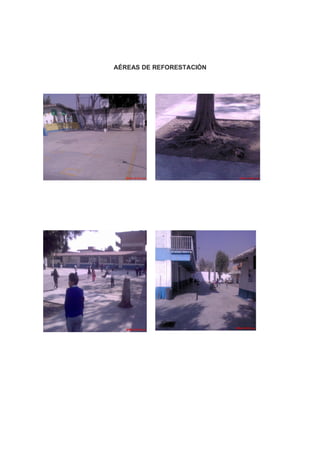 AÉREAS DE REFORESTACIÓN
 