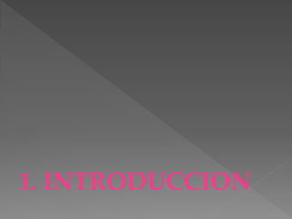 1. INTRODUCCION
 