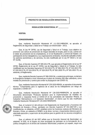 PROYECTO DE RES. MINISTERIAL.pdf.pdf (1).pdf