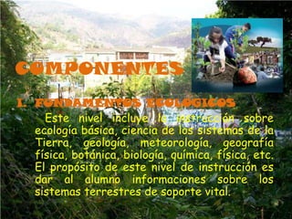 COMPONENTES
I. FUNDAMENTOS ECOLOGICOS
     Este nivel incluye la instrucción sobre
   ecología básica, ciencia de los sistemas de la
   Tierra, geología, meteorología, geografía
   física, botánica, biología, química, física, etc.
   El propósito de este nivel de instrucción es
   dar al alumno informaciones sobre los
   sistemas terrestres de soporte vital.
 