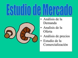 • Análisis de la
Demanda
• Analisis de la
Oferta
• Análisis de precios
• Estudio de la
Comercialización
 
