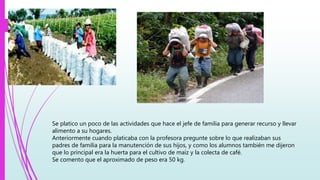 Se platico un poco de las actividades que hace el jefe de familia para generar recurso y llevar
alimento a su hogares.
Anteriormente cuando platicaba con la profesora pregunte sobre lo que realizaban sus
padres de familia para la manutención de sus hijos, y como los alumnos también me dijeron
que lo principal era la huerta para el cultivo de maíz y la colecta de café.
Se comento que el aproximado de peso era 50 kg.
 
