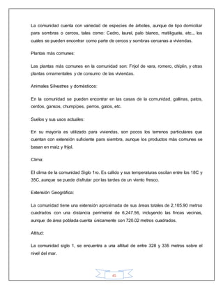 45
La comunidad cuenta con variedad de especies de árboles, aunque de tipo domiciliar
para sombras o cercos, tales como: Cedro, laurel, palo blanco, matiliguate, etc.., los
cuales se pueden encontrar como parte de cercos y sombras cercanas a viviendas.
Plantas más comunes:
Las plantas más comunes en la comunidad son: Frijol de vara, romero, chiplin, y otras
plantas ornamentales y de consumo de las viviendas.
Animales Silvestres y domésticos:
En la comunidad se pueden encontrar en las casas de la comunidad, gallinas, patos,
cerdos, gansos, chumpipes, perros, gatos, etc.
Suelos y sus usos actuales:
En su mayoría es utilizado para viviendas, son pocos los terrenos particulares que
cuentan con extensión suficiente para siembra, aunque los productos más comunes se
basan en maíz y frijol.
Clima:
El clima de la comunidad Siglo 1ro. Es cálido y sus temperaturas oscilan entre los 18C y
35C, aunque se puede disfrutar por las tardes de un viento fresco.
Extensión Geográfica:
La comunidad tiene una extensión aproximada de sus áreas totales de 2,105.90 metrso
cuadrados con una distancia perimetral de 6,247.56, incluyendo las fincas vecinas,
aunque de área poblada cuenta únicamente con 720.02 metros cuadrados.
Altitud:
La comunidad siglo 1, se encuentra a una altitud de entre 328 y 335 metros sobre el
nivel del mar.
 