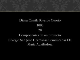 Diana Camila Riveros Osorio
1003
28
Componentes de un proyecto
Colegio San José Hermanas Franciscanas De
María Auxiliadora
 