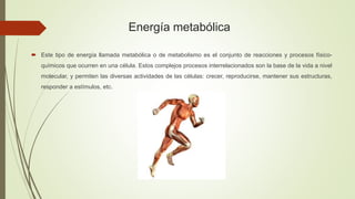 Energía metabólica
 Este tipo de energía llamada metabólica o de metabolismo es el conjunto de reacciones y procesos físico-
químicos que ocurren en una célula. Estos complejos procesos interrelacionados son la base de la vida a nivel
molecular, y permiten las diversas actividades de las células: crecer, reproducirse, mantener sus estructuras,
responder a estímulos, etc.
 