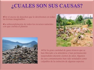 ♦Por el exceso de desechos que le devolvemos en todas
las formas imaginables.

♦La sobreexplotación de todos los recursos naturales
con que cuenta el planeta




                                        ♦ Por la gran cantidad de gases tóxicos que se
                                       han liberado a la atmósfera y han permanecido
                                       suspendidos durante cientos de años. Algunos
                                       de esos contaminantes han sido señalados como
                                       culpables de la extinción de algunas especies.
 
