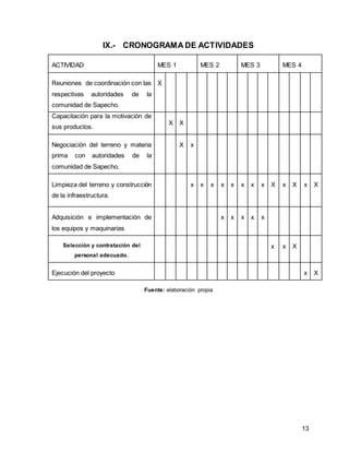 13
IX.- CRONOGRAMA DE ACTIVIDADES
ACTIVIDAD MES 1 MES 2 MES 3 MES 4
Reuniones de coordinación con las
respectivas autoridades de la
comunidad de Sapecho.
X
Capacitación para la motivación de
sus productos.
X X
Negociación del terreno y materia
prima con autoridades de la
comunidad de Sapecho.
X x
Limpieza del terreno y construcción
de la infraestructura.
x x x x x x x x X x X x X
Adquisición e implementación de
los equipos y maquinarias
x x x x x
Selección y contratación del
personal adecuado.
x x X
Ejecución del proyecto x X
Fuente: elaboración propia
 
