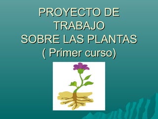 PROYECTO DE
      TRABAJO
SOBRE LAS PLANTAS
   ( Primer curso)
 
