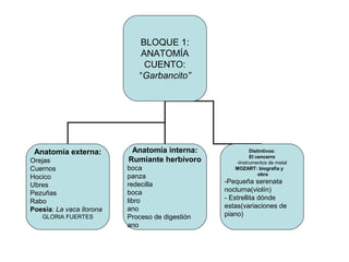 BLOQUE 1:
ANATOMÍA
CUENTO:
“Garbancito”
Anatomía externa:
Orejas
Cuernos
Hocico
Ubres
Pezuñas
Rabo
Poesía: La vaca llorona
GLORIA FUERTES
Anatomía interna:
Rumiante herbívoro
boca
panza
redecilla
boca
libro
ano
Proceso de digestión
ano
Distintivos:
El cencerro
-Instrumentos de metal
MOZART: biografía y
obra
-Pequeña serenata
nocturna(violín)
- Estrellita dónde
estas(variaciones de
piano)
 