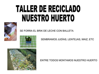 SE FORRA EL BRIK DE LECHE CON BALLETA
SEMBRAMOS JUDÍAS, LENTEJAS, MAIZ, ETC
ENTRE TODOS MONTAMOS NUESTRO HUERTO
 