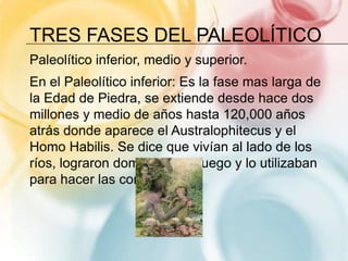 TRES FASES DEL PALEOLÍTICO
Paleolítico inferior, medio y superior.
En el Paleolítico inferior: Es la fase mas larga de
la Edad de Piedra, se extiende desde hace dos
millones y medio de años hasta 120,000 años
atrás donde aparece el Australophitecus y el
Homo Habilis. Se dice que vivían al lado de los
ríos, lograron domesticar el fuego y lo utilizaban
para hacer las comidas.
 